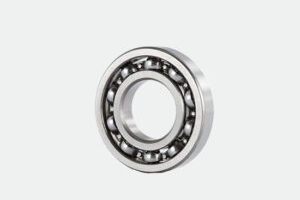 6019 Bearing