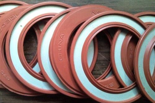 Bearing seals